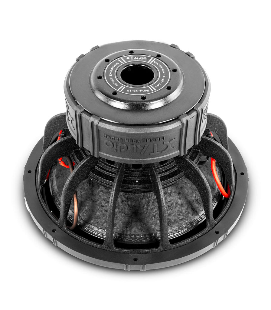 Subwoofer 15" 5000W 4"VC PUNI